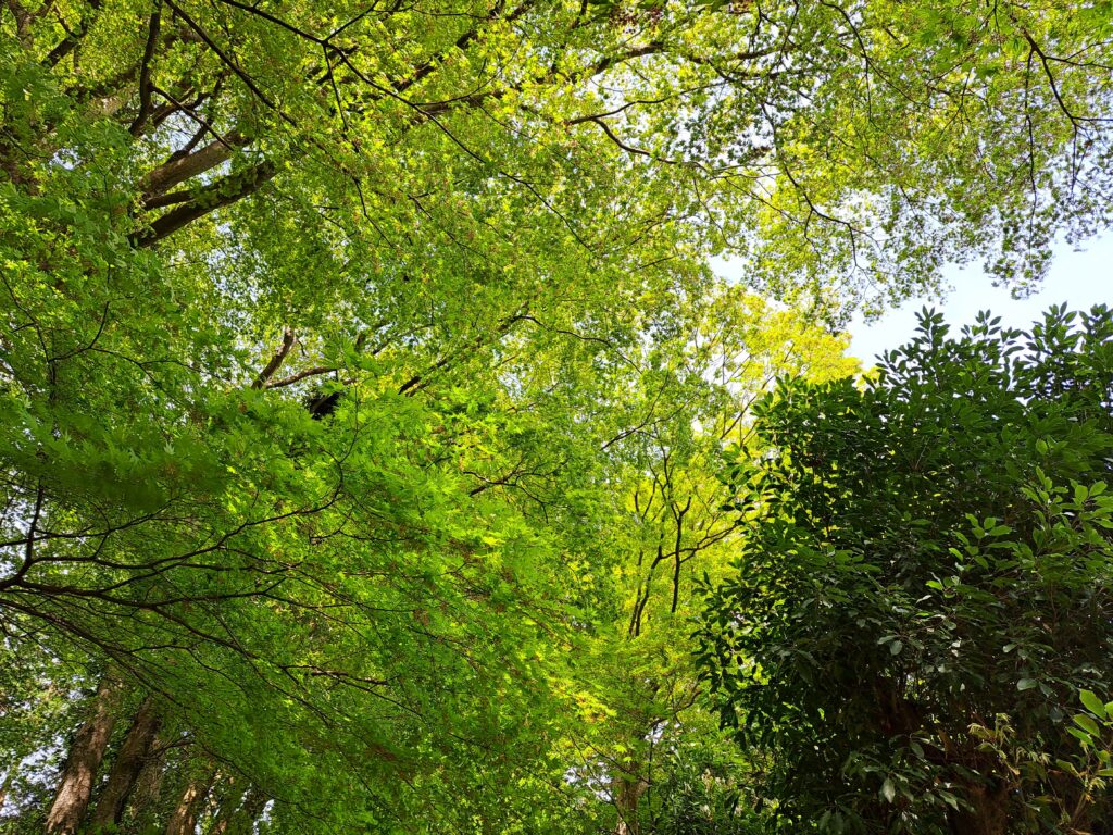 本当の豊かさとは・・・ | 気仙沼の森と海を守る会